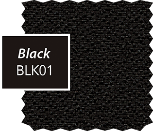 Black with Onyx Upholstery